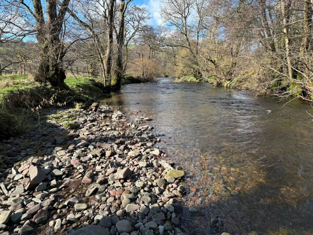 Fishing Tan Y Fedw, Crai, Brecon - Castle Coaching Inn