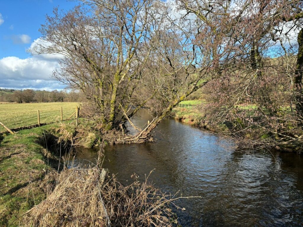 Fishing Tan Y Fedw, Crai, Brecon - Castle Coaching Inn